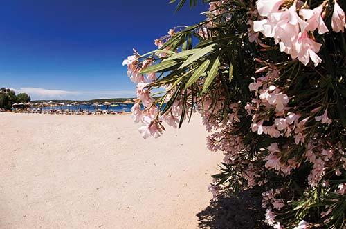 Resort Img