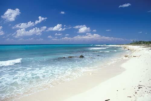 Resort Img