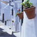 Tenerife Canaries, Spain